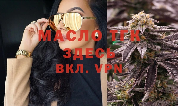 индика Няндома