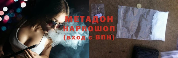индика Няндома
