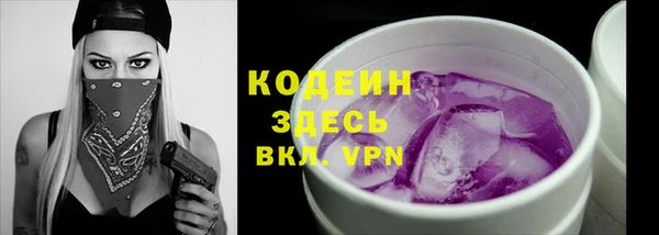 индика Няндома