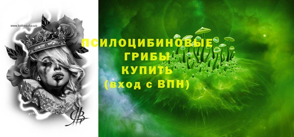 индика Няндома