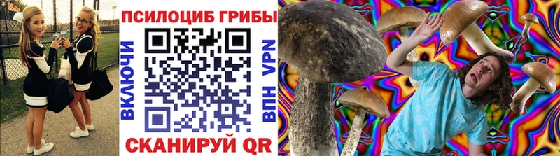 как найти закладки  Курчатов  Галлюциногенные грибы ЛСД 